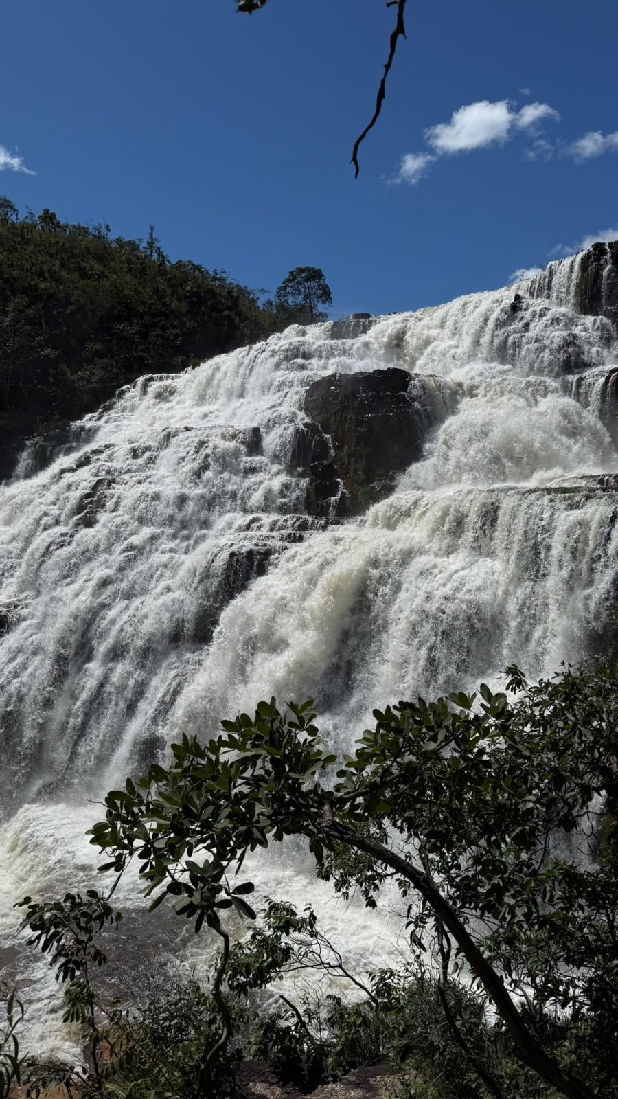Cabeceira da Almécegas Mil